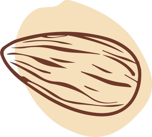 Almond graphic with biege background Logo