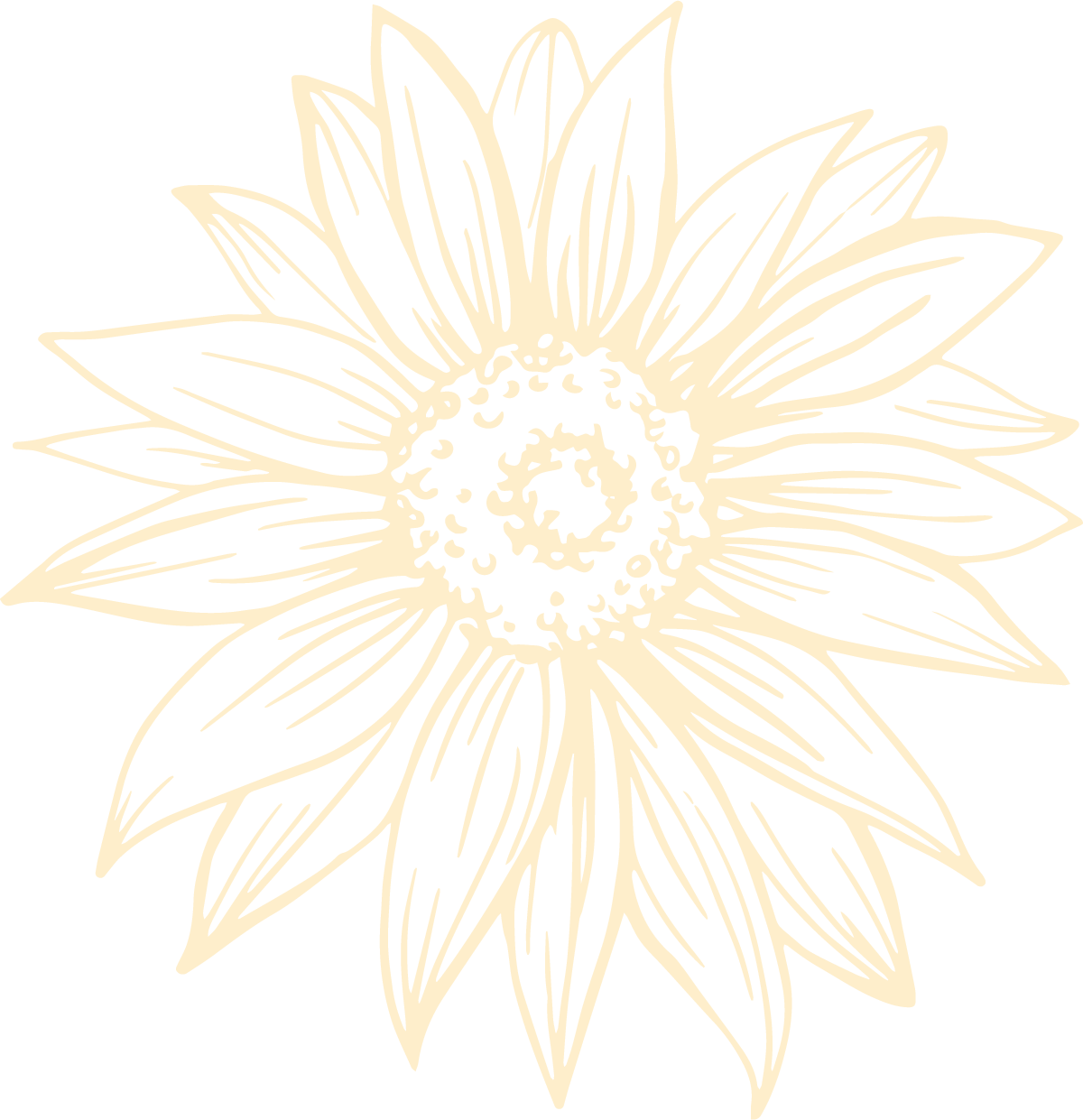 Sunflower background graphic